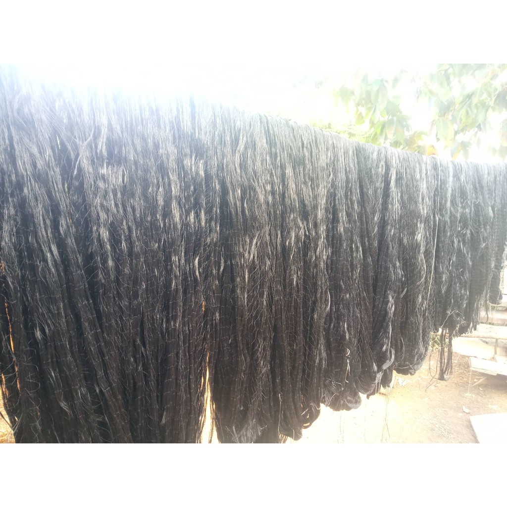 Lưới chim đêm bẫy Cúm núm , Quốc, Bịp