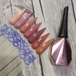 Sơn Gel Vandonnie Chai 15ml - nailmishops