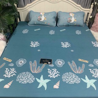 Ga chống thấm cotton m6-2m-10p