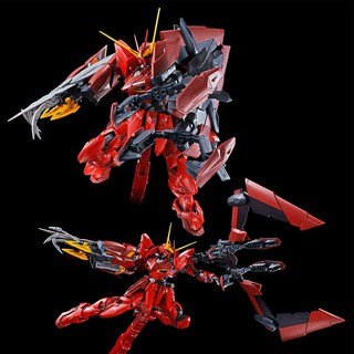 Mô hình MG 1/100 Testament Gundam