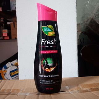  Dầu Gội Fresh Bồ Kết Collagen Dưỡng Tóc Suôn Mượt 