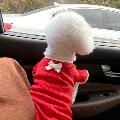 Áo vai bèo đỏ nơ trắng dành cho thú cưng