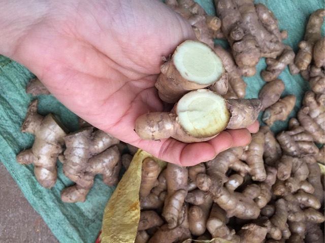 50k/200gr Bột Nghệ Trắng Tuệ Minh