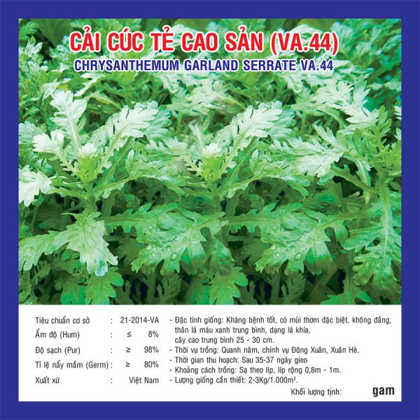 Hạt Giống Cải Cúc Tẻ Cao Sản
