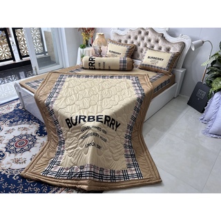 Bộ drap thun lạnh ý 5D cao cấp