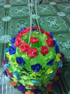 Hoa gấm cánh tròn