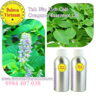 TINH DẦU KINH GIỚI (Oregano Oil) 50ML, 100ML