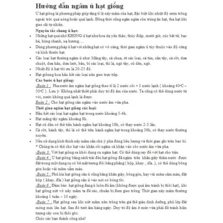 Hạt Giống Măng Tây - Gói 10 hạt