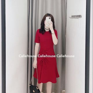 Set con khỉ học toán