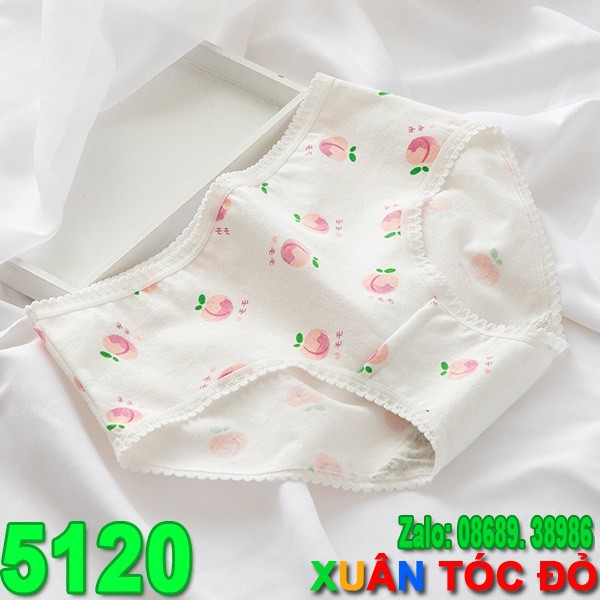  SỈ ZALO RẺ HƠN NHIỀU_ Quần Lót 5 Kiểu Đào Hồng Cực Mịn Cực Cute 5120 | BigBuy360 - bigbuy360.vn