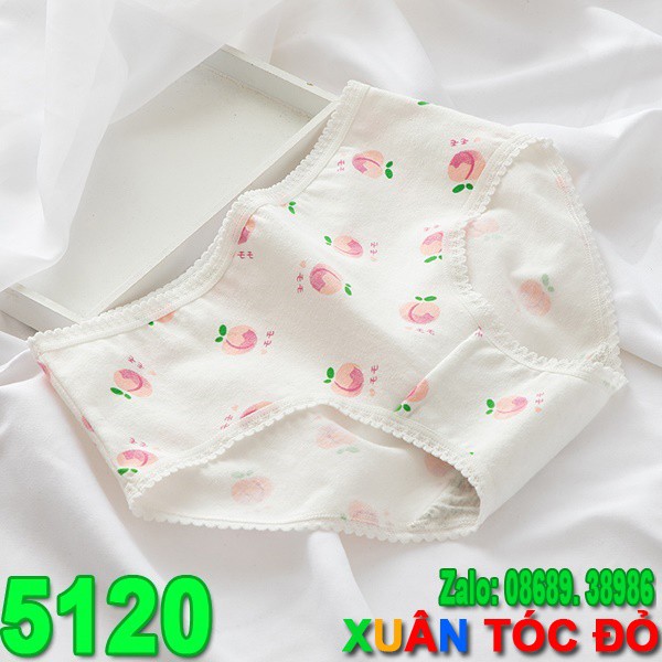  SỈ ZALO RẺ HƠN NHIỀU_ Quần Lót 5 Kiểu Đào Hồng Cực Mịn Cực Cute 5120