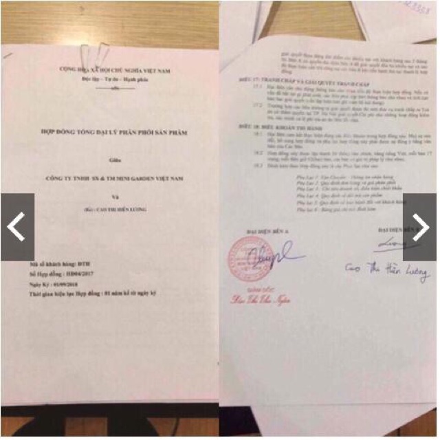 SON ROSES SON LÌ MỚI 2019 _MẪU MỚI FULL MÀU | BigBuy360 - bigbuy360.vn