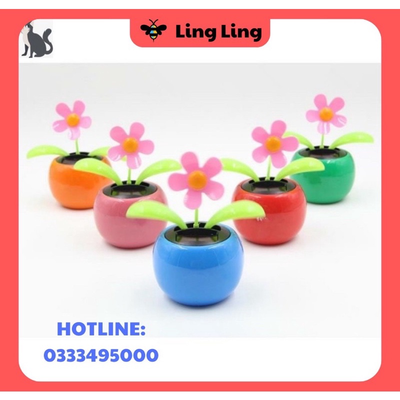 Chậu hoa chuyển động năng lượng mặt trời