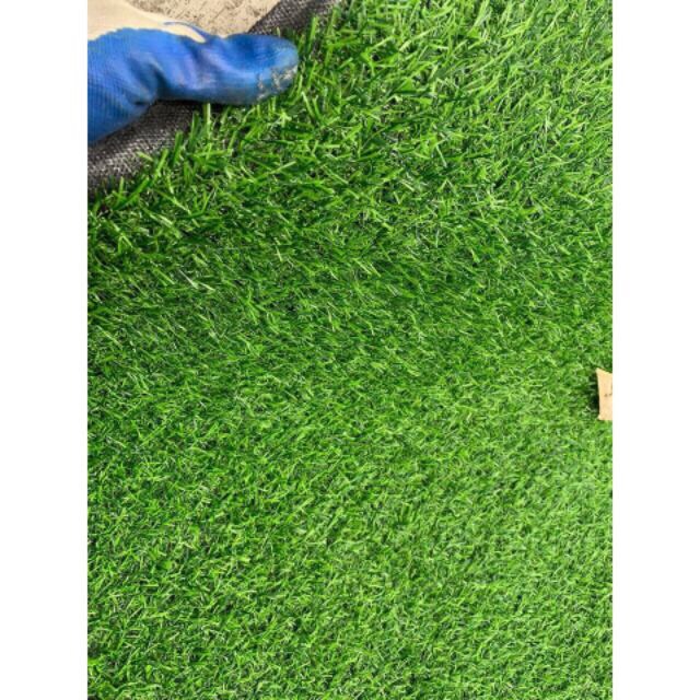 Thảm cỏ nhân tạo dệt sợi kim 2cm loại đẹp( bán theo m2)