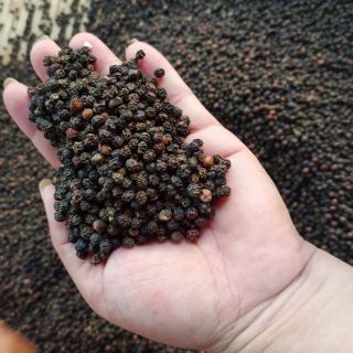 1kg Tiêu hữu cơ, tiêu sạch Kon Tum