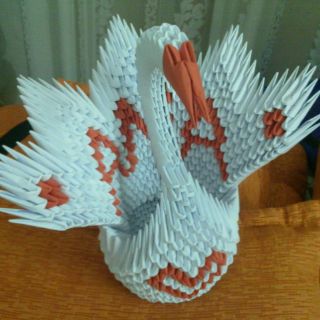 Combo 3 hình xếp origami
