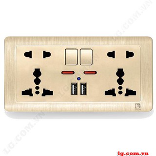 Ổ cắm điện âm tường 2 USB 5v 2 công tắc vàng cao cấp C60-066 - Hàng Chính Hãng
