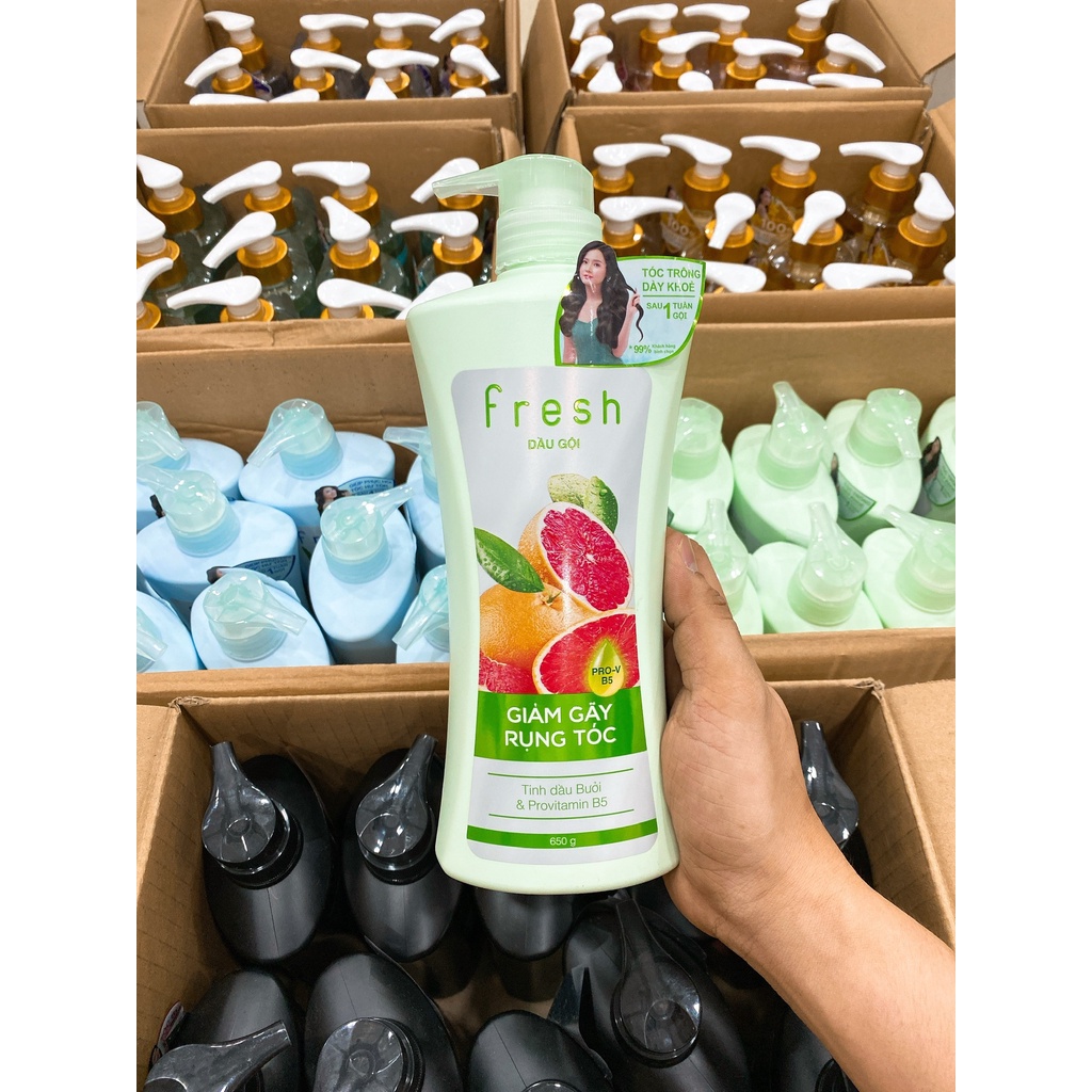 Dầu Gội Fresh Mẫu Mới Chính Hãng Công Ty 650g