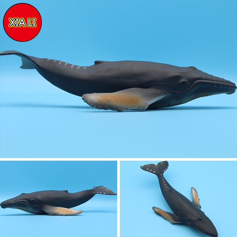 Mô Hình Cá Mập Biển Sống Động Cho Bé