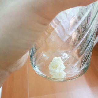 Nấm sữa kefir