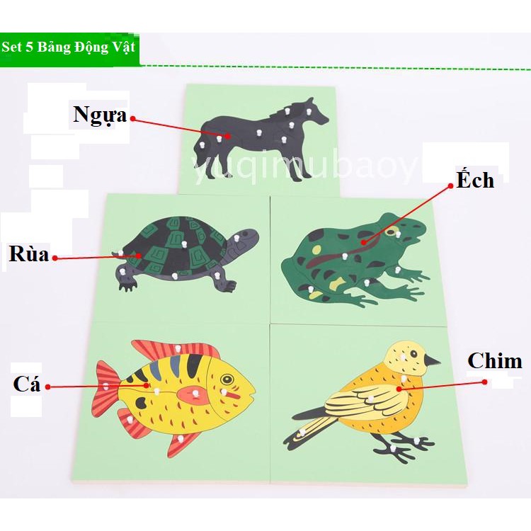 💖Giảm 10%💖  - Bảng Ghép Hình Sinh Học - Giáo Cụ Montessori