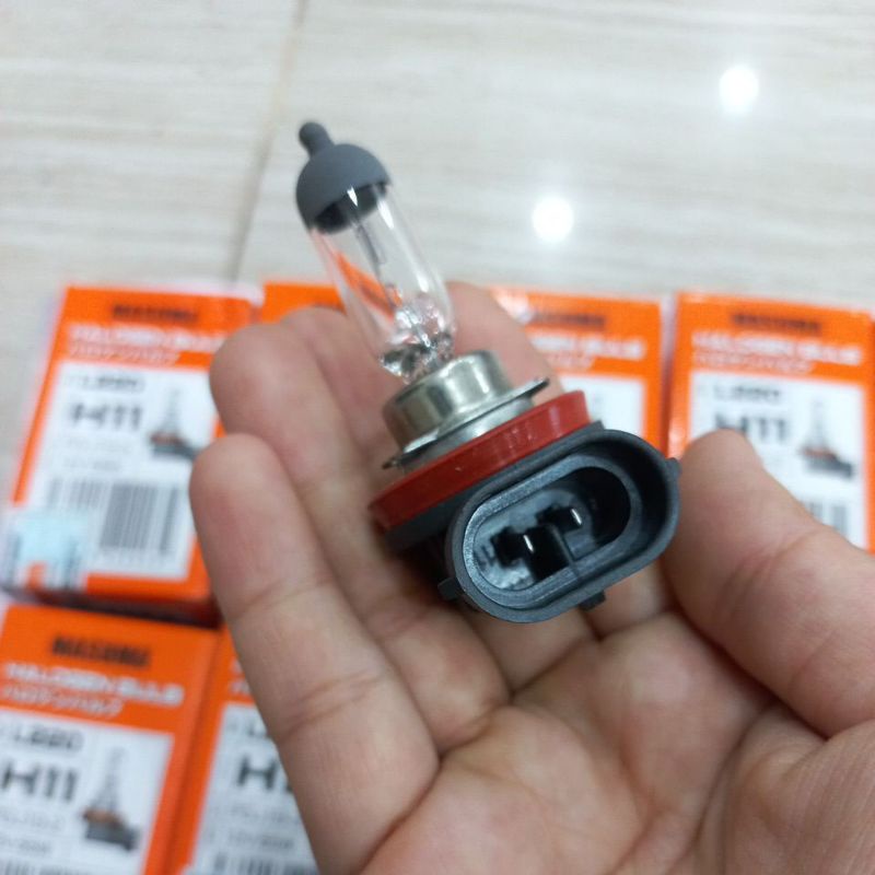 Bóng đèn pha,cos chân H11 cho xe toyota innova,foturner,hilux...