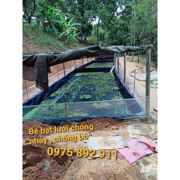 Bể bạt nuôi ốc ếch cá  3x2x1  - Giá xưởng MaiDung