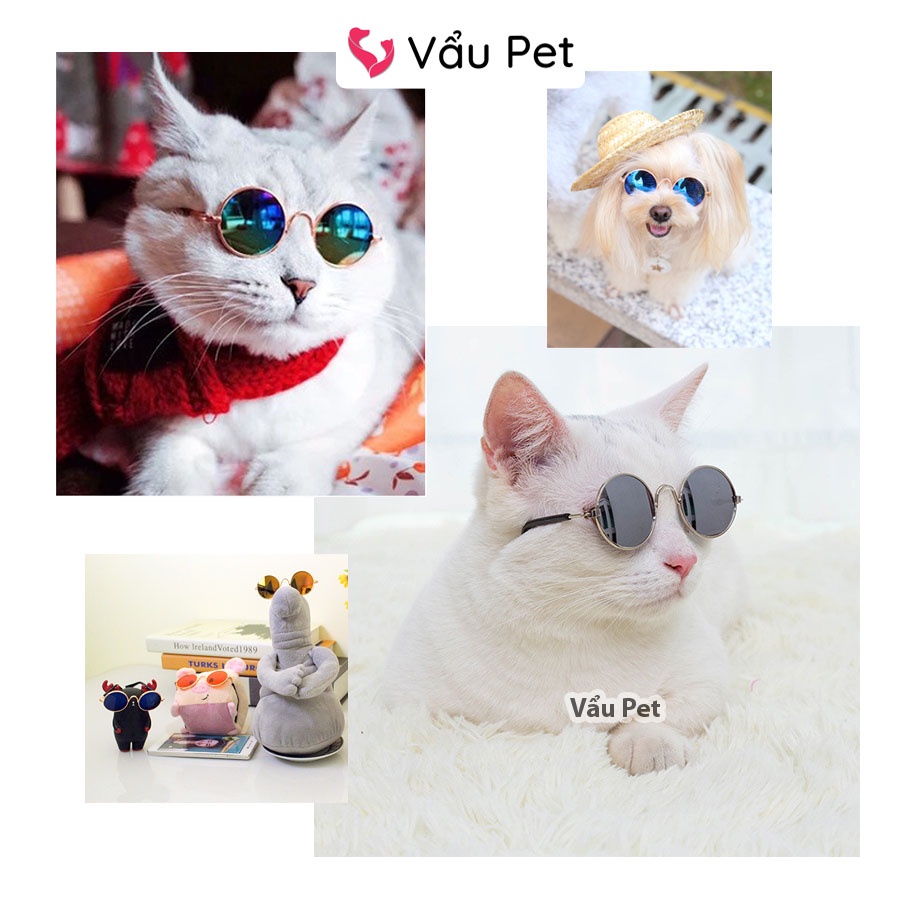 Kính Cho Chó Mèo Thời Trang - Đạo Cụ Chụp Hình Chó Mèo Thú Cưng Vẩu Pet Shop