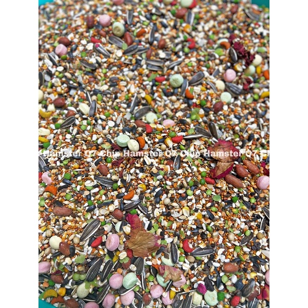 Thức ăn Hamster Yummy