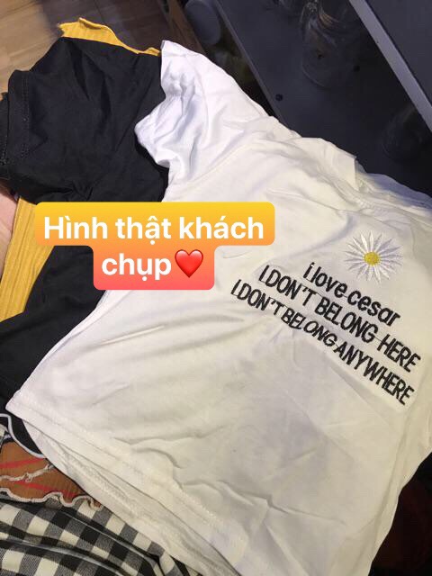 (Có hình thật) ÁO CROPTOP THÊU HOA CÚC 2 MÀU | BigBuy360 - bigbuy360.vn