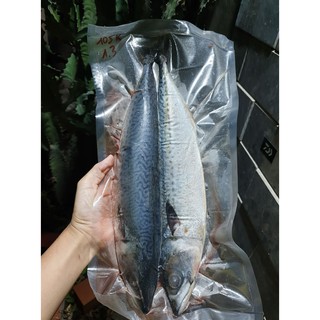CÁ SAPA ( CÁ THU NHẬT ) 500gram