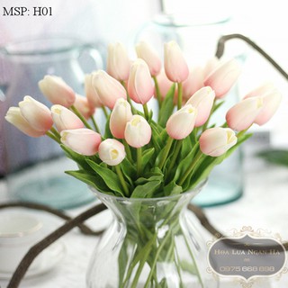 HOA TULIP XỐP DẬP