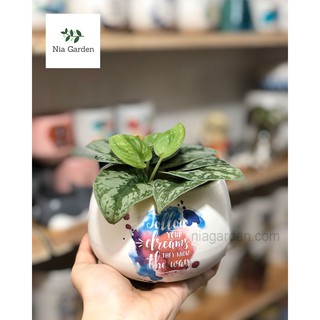 Chậu gốm sứ hạt dẻ nhỏ in hình - N2