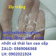 Lồng Buông cá Ốc, Ếch  5 x 4 x 2 có vanh 20cm Cá Từ Nhỏ Tới To Lưới Thái Lan Chuyên cung cấp tráng nuôi ốc ,ếch,cá vvv s