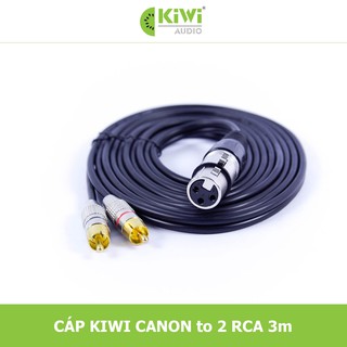 DÂY CANON CÁI RA 2 AV BẰNG ĐỒNG DÀI 3M CHÍNH HÃNG KIWI