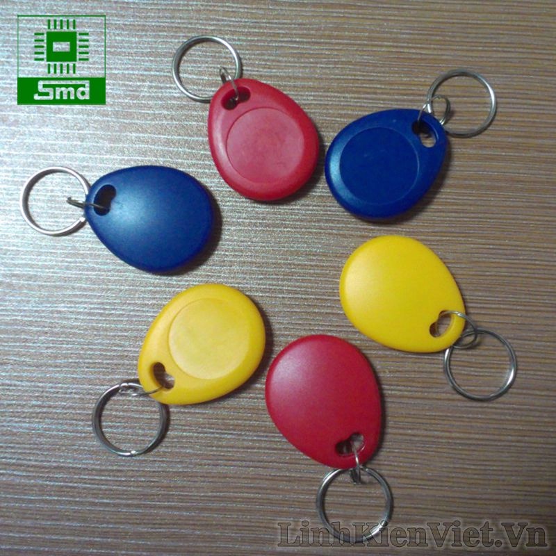 Thẻ Từ RFID Sao Chép 125khz Chip T5577 Dạng Móc Khóa, Thẻ Ghi được nhân viên, thang máy, chống trộm xe máy coppy
