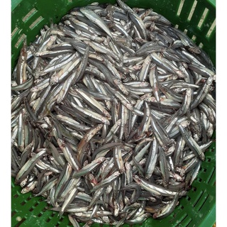 NƯỚC MẮM NHĨ CÁ CƠM 500ML
