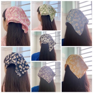 Badana 1 lớp (ib chọn mẫu)