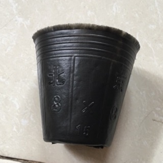 Bầu ươm cây size nhỏ 8-8(1kg)