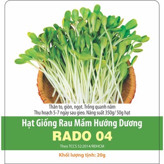 Hạt Giống Rau Mầm Hướng Dương Rado 04 Rạng Đông, Thân To Ngọt, Trồng Quanh Năm