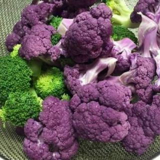 Hạt Giống Súp Lơ Tím( nhập khẩu )
