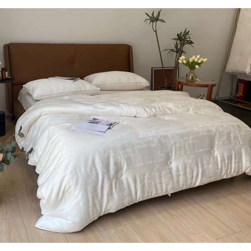 Ruột chăn bông đậu nành thiên nhiên