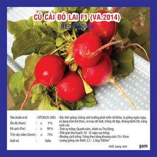 Hạt giống Củ Cải Đỏ F1 (VA.2014) – 10gram