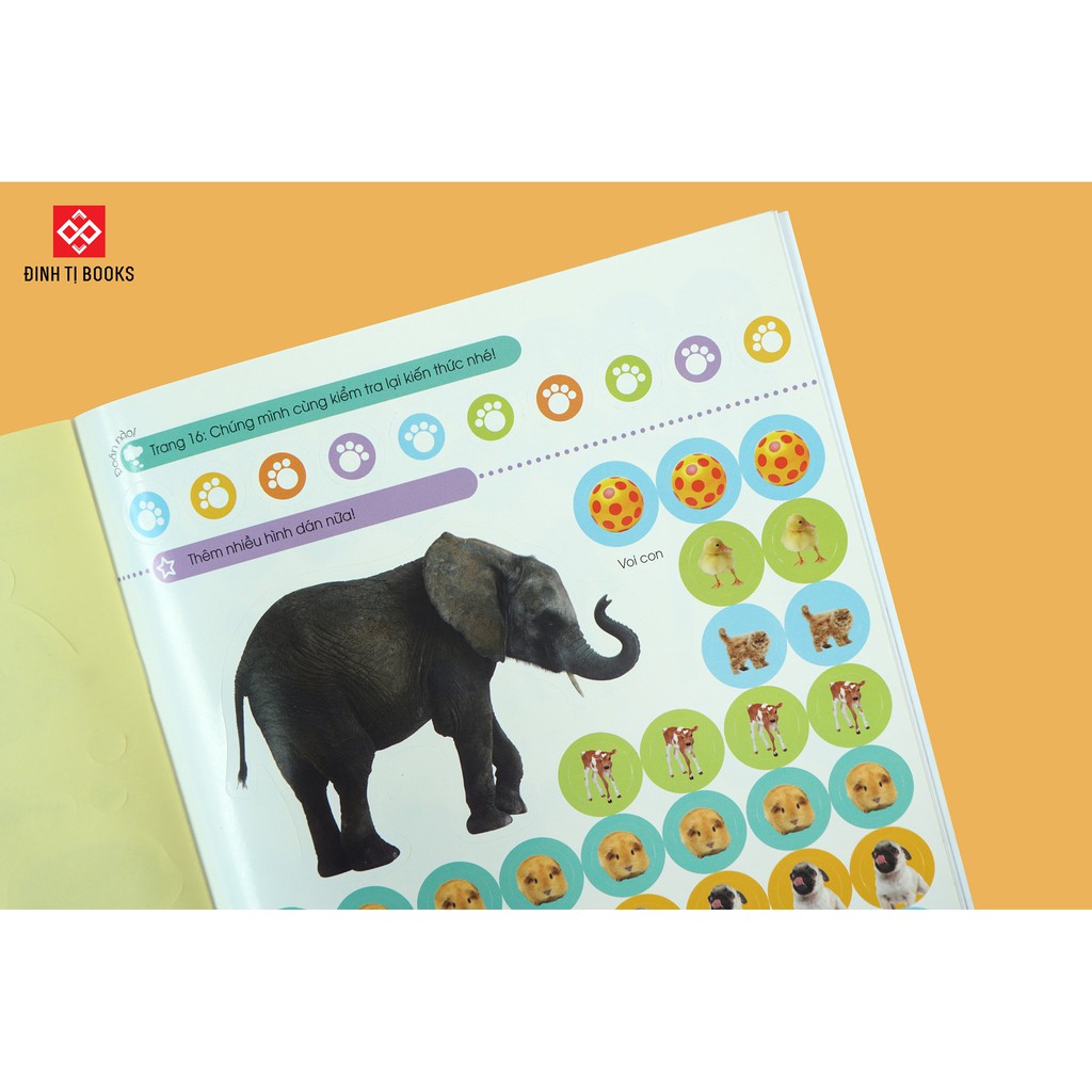 Sách: Combo Bóc dán tuyệt đỉnh 6T