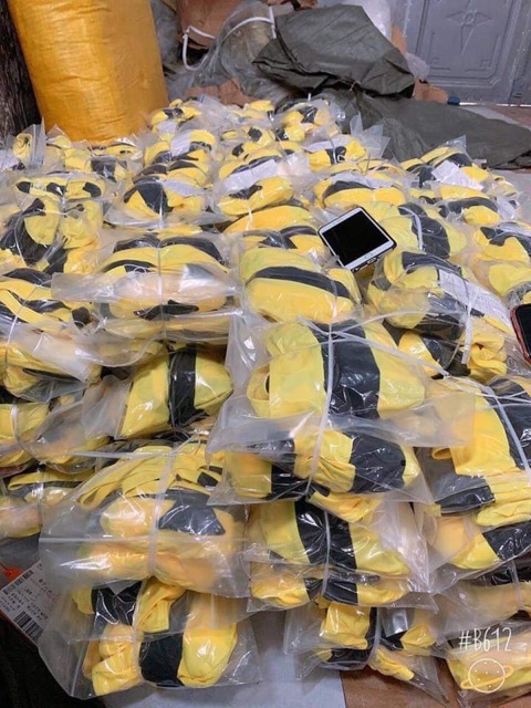 Bikini ong | BigBuy360 - bigbuy360.vn