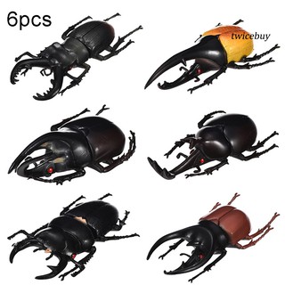Set 6 mô hình côn trùng con bọ cánh cứng