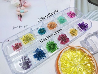 Hoa khô trang trí nến thơm, làm nails
