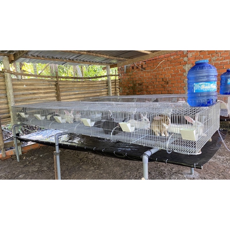 Lồng Nuôi Thỏ Sinh Sản 2 ngăn