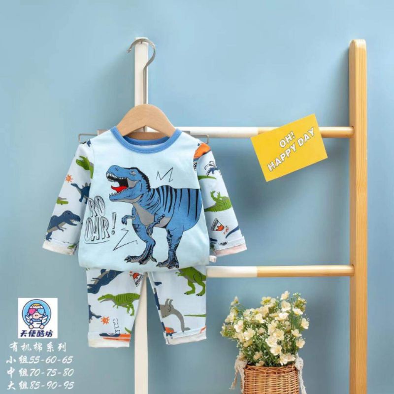 Bộ cotton xuất hàn bé trai / bé gái nhí / nhỡ / đại