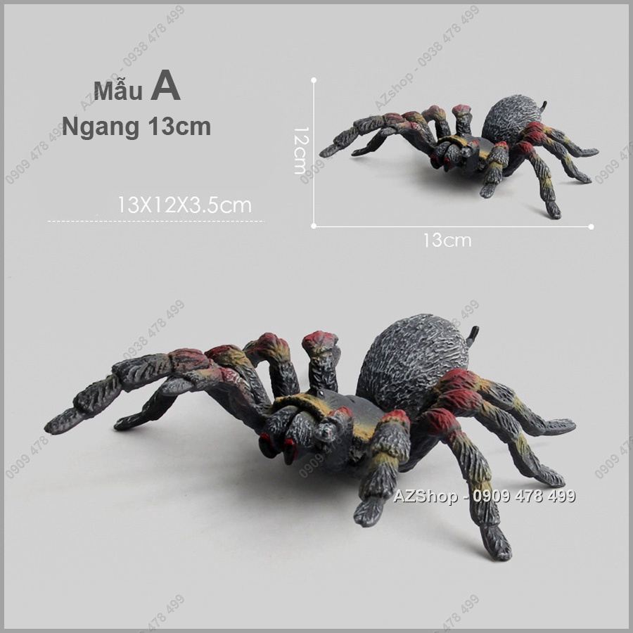 Mô Hình Loài Nhện - Thế Giới Động Vật -  7709